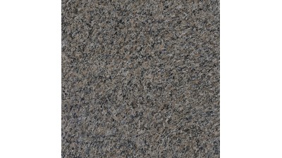 維羅納系列-加多利