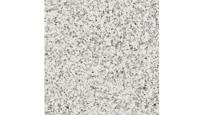 維羅納系列-大花白